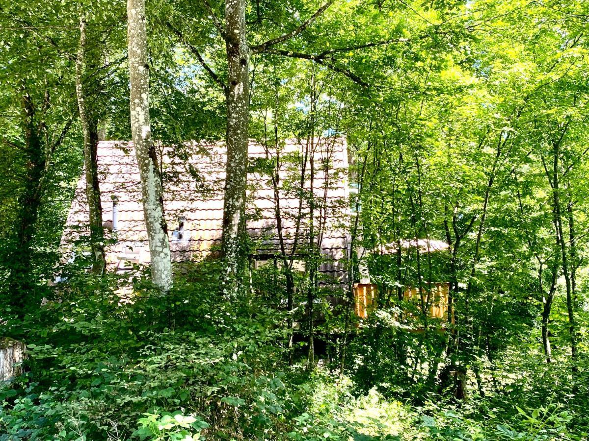 A- Frame Huisje Ardennen デュルビュイ エクステリア 写真