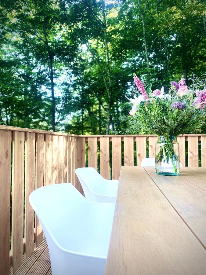 A- Frame Huisje Ardennen デュルビュイ エクステリア 写真